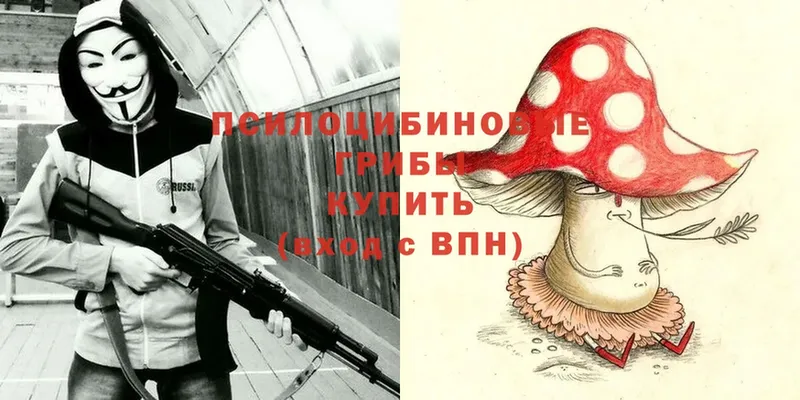 Псилоцибиновые грибы Cubensis  Далматово 